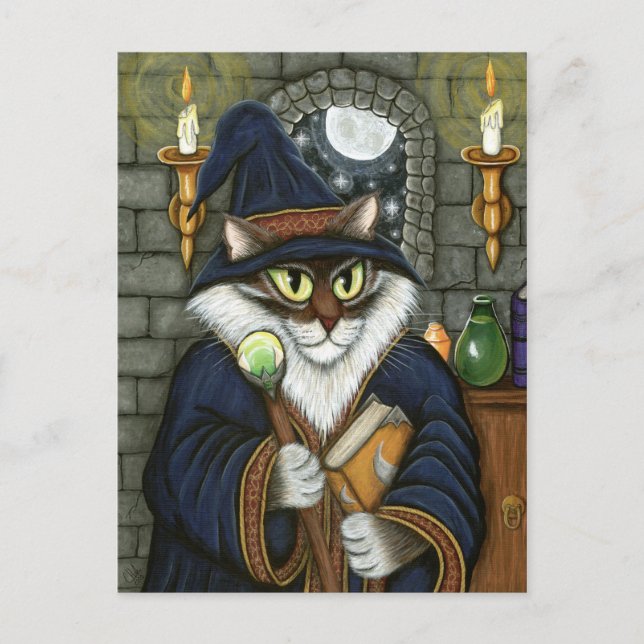 Carte Postale Magicien Merlin Magicien Cat Magic Sorcerer Imagin (Devant)
