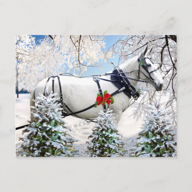 Carte Postale "Magie dans le baudrier" (Devant)