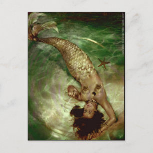 Carte Postale Magie d'ondulation