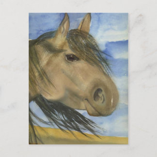 Carte Postale Magie, un Mustang américain