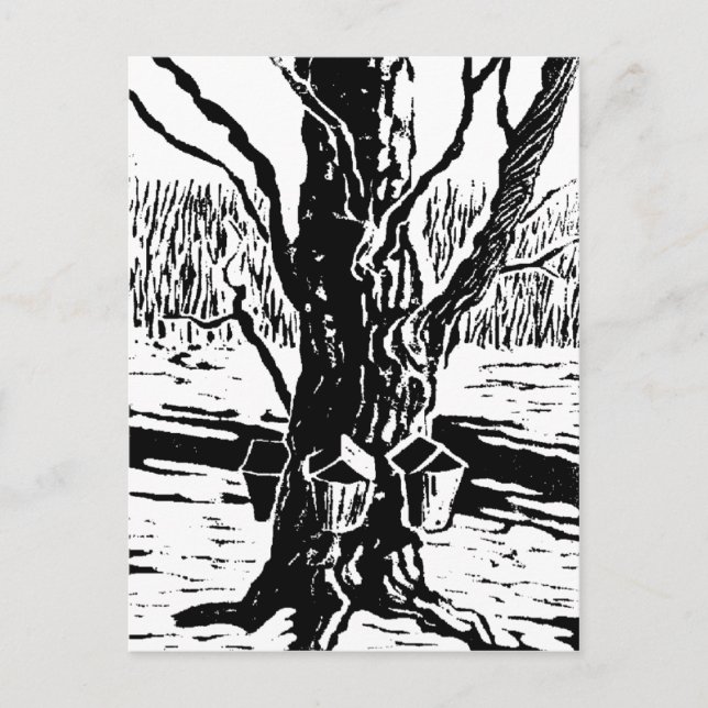 Carte postale magique Springtime (Devant)