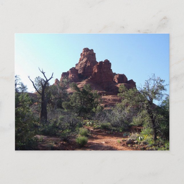 Carte Postale magnifique bell rock (Devant)