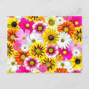 Carte Postale Magnifique fleurs rose jaune Accessoires motifs