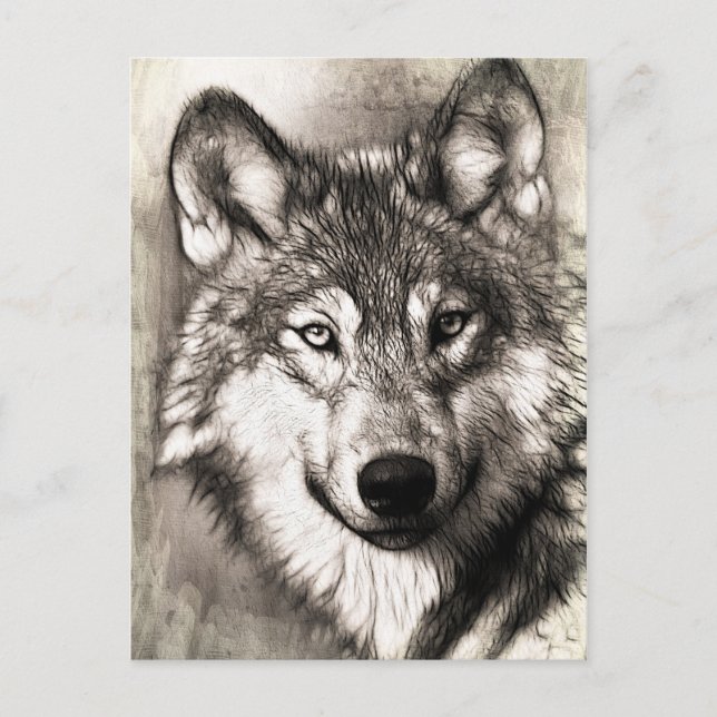 Carte Postale Magnifique loup visage photo accessoires d'impress (Devant)