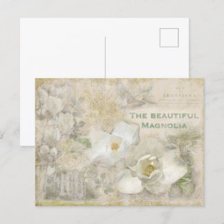 Carte Postale Magnifique Magnolia Vintage Collage