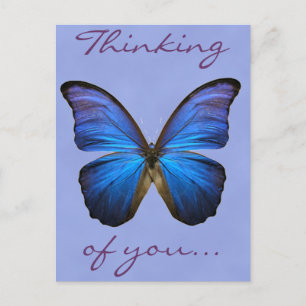 Carte Postale Magnifique papillon bleu Morpho