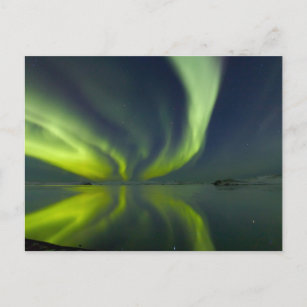 Carte Postale Magnifiques aurores boréales