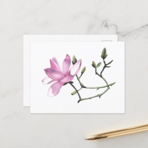 Carte Postale Magnolia