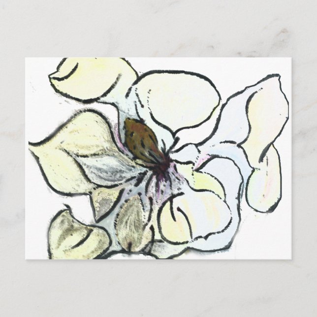 Carte Postale Magnolia (Devant)