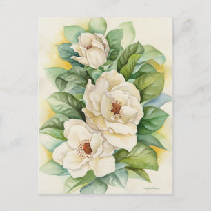 Carte Postale Magnolia Blanc Vintage Fleurs Florales Art