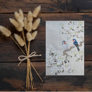 Carte Postale Magnolia blanche