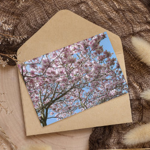 Carte Postale Magnolia en avril