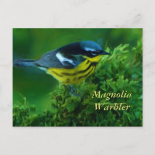Carte postale Magnolia Paruline