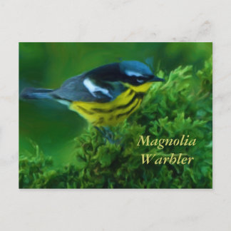Carte postale Magnolia Paruline