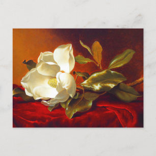 Carte Postale Magnolia sur Red Velvet Martin Johnson Heade