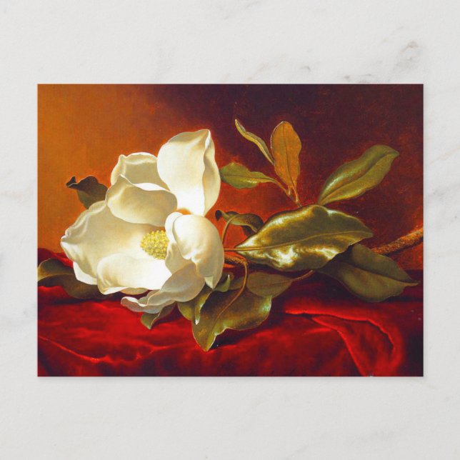 Carte Postale Magnolia sur Red Velvet Martin Johnson Heade (Devant)