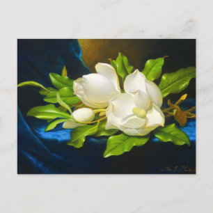 Carte Postale Magnolias géant sur toile de velours bleu