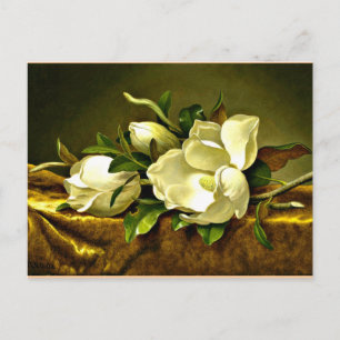 Carte Postale Magnolias sur le tissu en velours or