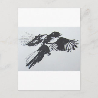 Carte Postale Magpie