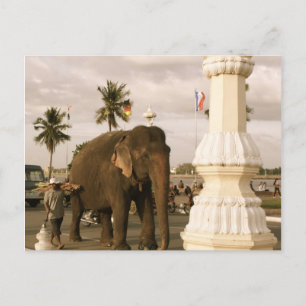 Carte Postale Mahout et Elephant