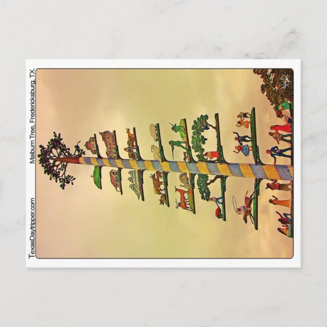 Carte Postale Maibaum Tree, Fredericksburg, TX (Devant)