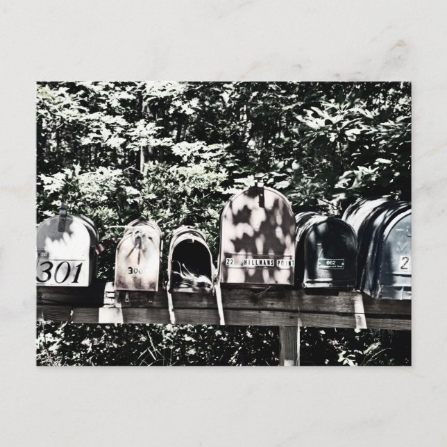 Carte Postale Mailboxes on the Vineyard (Devant)