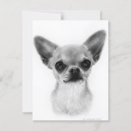 Carte Postale Main tirée courte Haired Chihuahua - Express doux