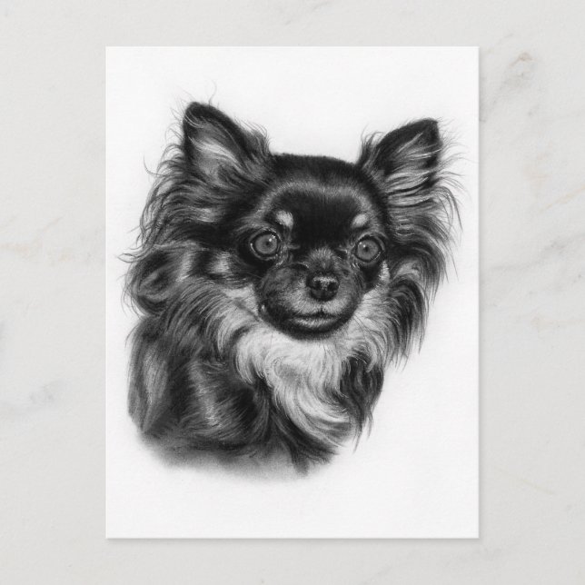 Carte Postale Main Tirée Long Haired Chihuahua Charcoal Artwork (Devant)