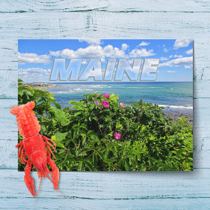 Carte Postale Maine