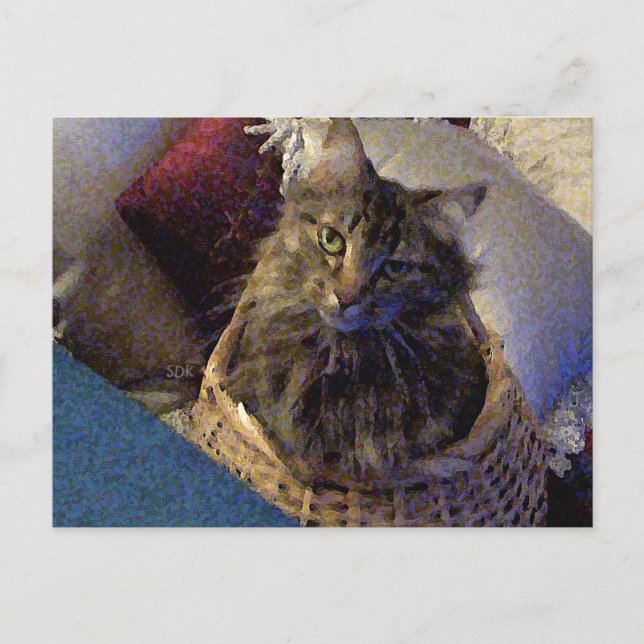Carte Postale Maine Coon Tabby Cat (Devant)