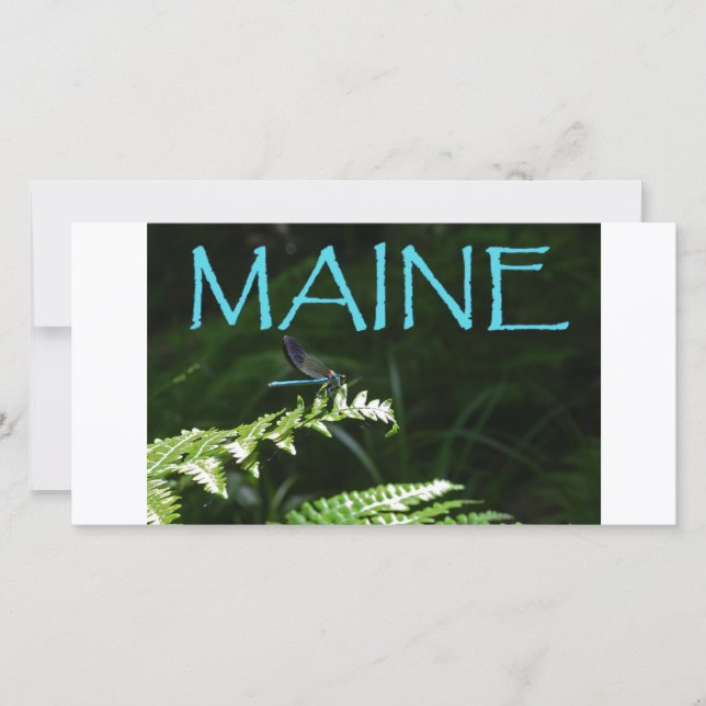 Carte postale Maine d'une libellule (Devant)
