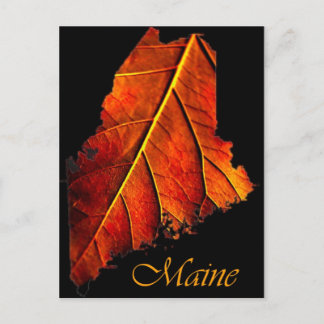 Carte Postale Maine Fall Photo Foliing | Maine Autumn Foliing