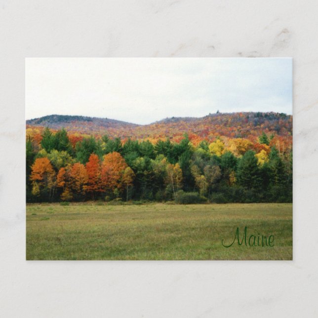 Carte Postale Maine Foliage (Devant)