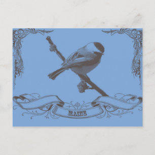 Carte Postale mainechickade