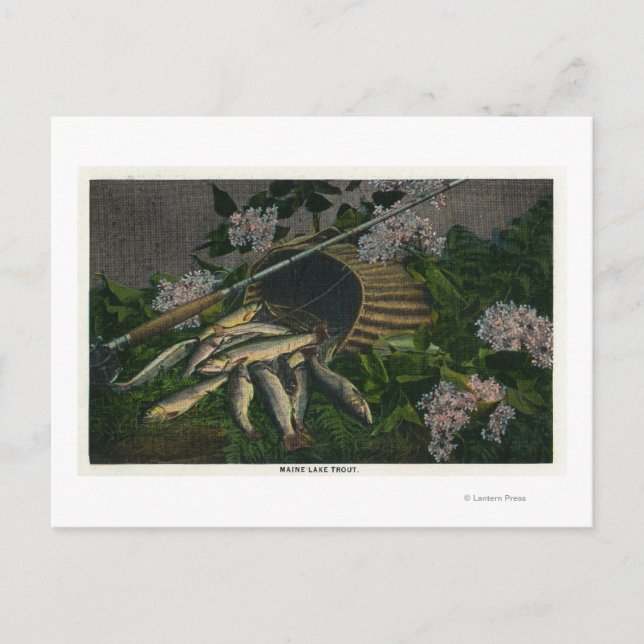 Carte Postale MaineVue d'une jolie prise de truite du lac Maine (Devant)