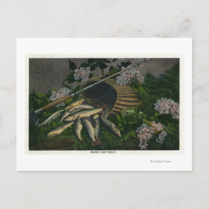 Carte Postale MaineVue d'une jolie prise de truite du lac Maine