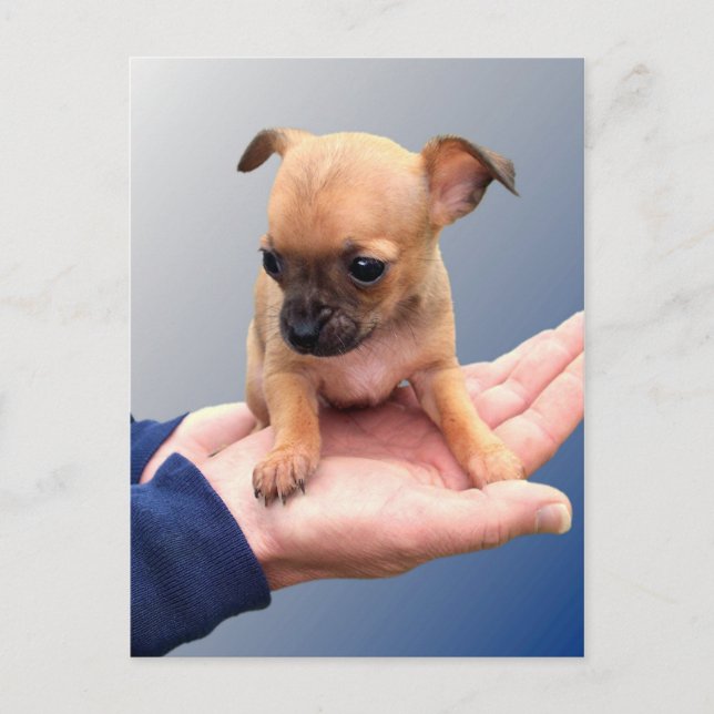 Carte Postale Mains d'amour (Devant)