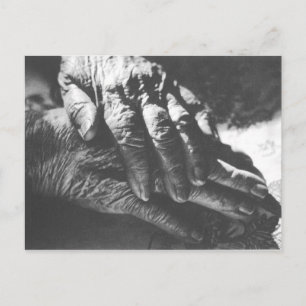 Carte Postale Mains grand-mère