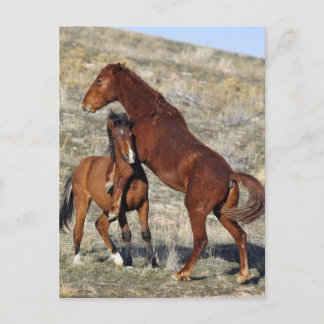 Carte Postale Maintenir