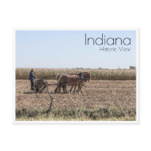 Maïs de plantation agricole Amish