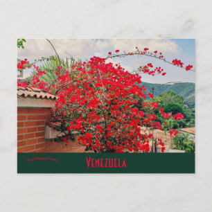 Carte Postale Maison Avec Fleurs Caracas Venezuela