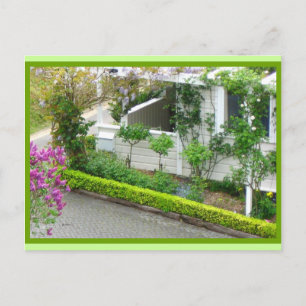 Carte Postale Maison Blanche en Jardins Botaniques, Nouvelle-Zél