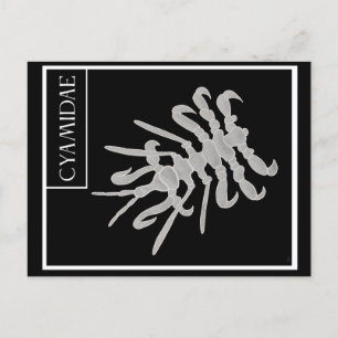 Carte Postale Maison de baleines