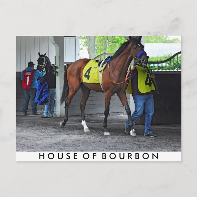 Carte Postale Maison de Bourbon par Hardspun (Devant)