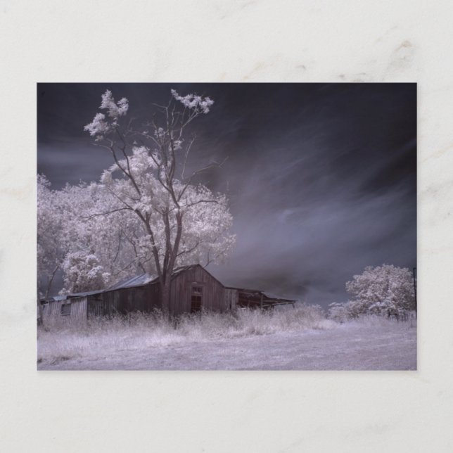 Carte Postale Maison de ferme Lonely (Devant)