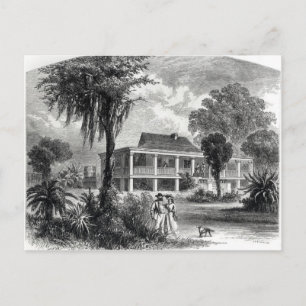 Carte Postale Maison de Planter sur le Mississippi
