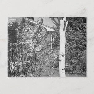 Carte Postale Maison d'oiseaux dans le jardin