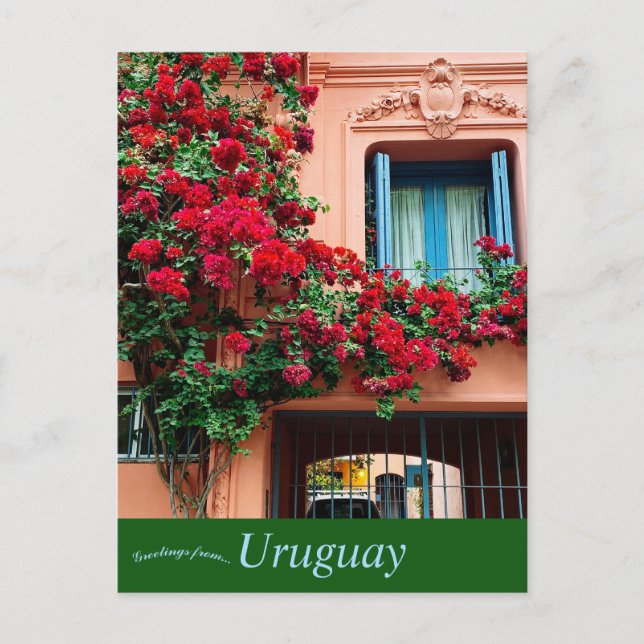 Carte Postale Maison et fleurs en Uruguay (Devant)
