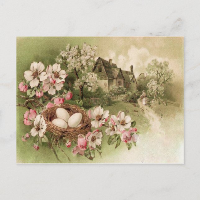 Carte Postale Maisonnette de l'oeuf de nid d'oiseau d'arbre de c (Devant)