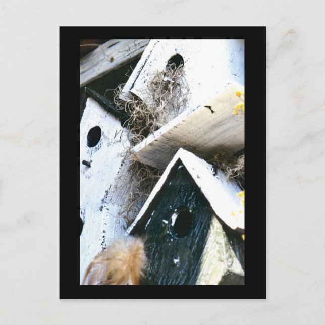 Carte Postale Maisons d'oiseaux (Devant)